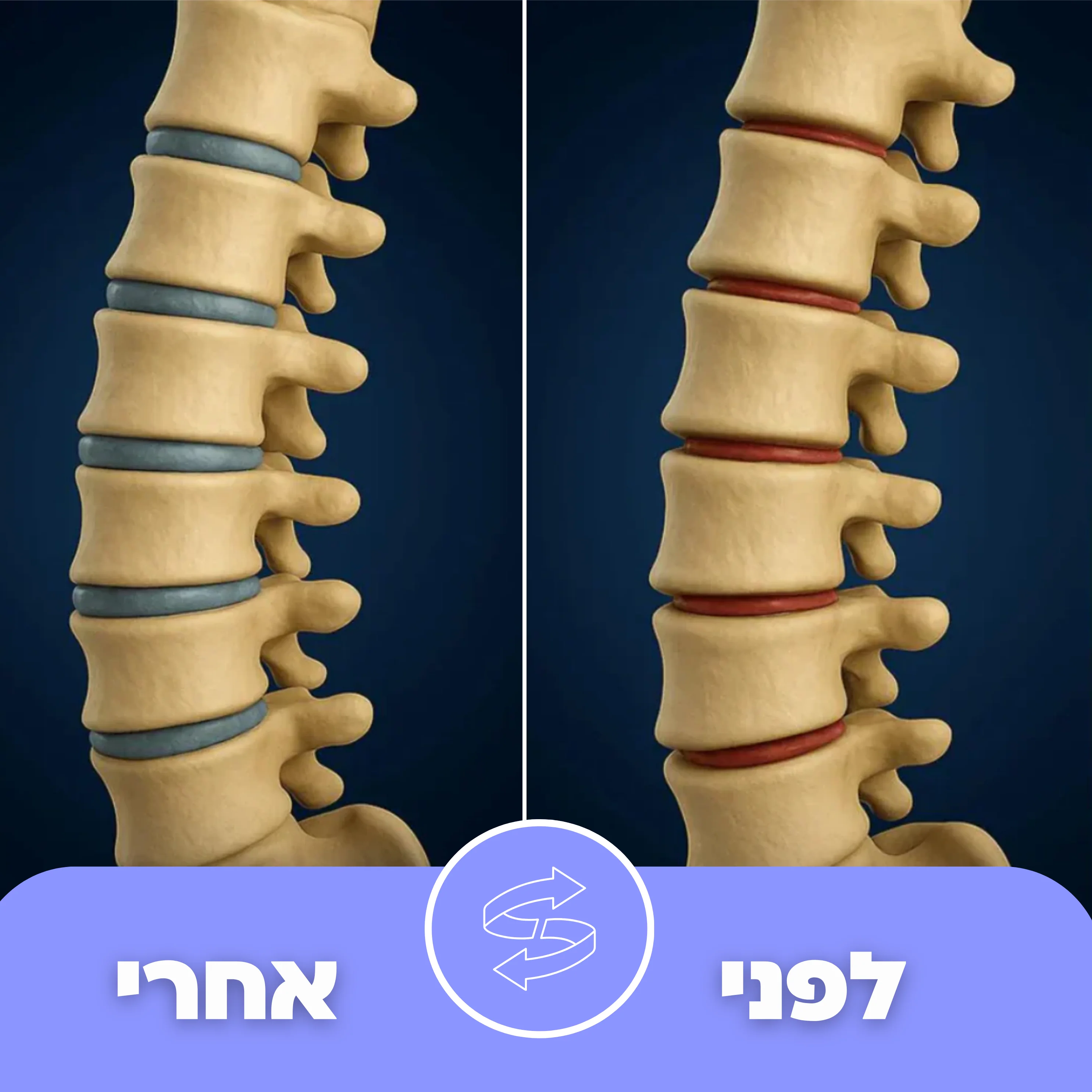 תמונת מוצר 7